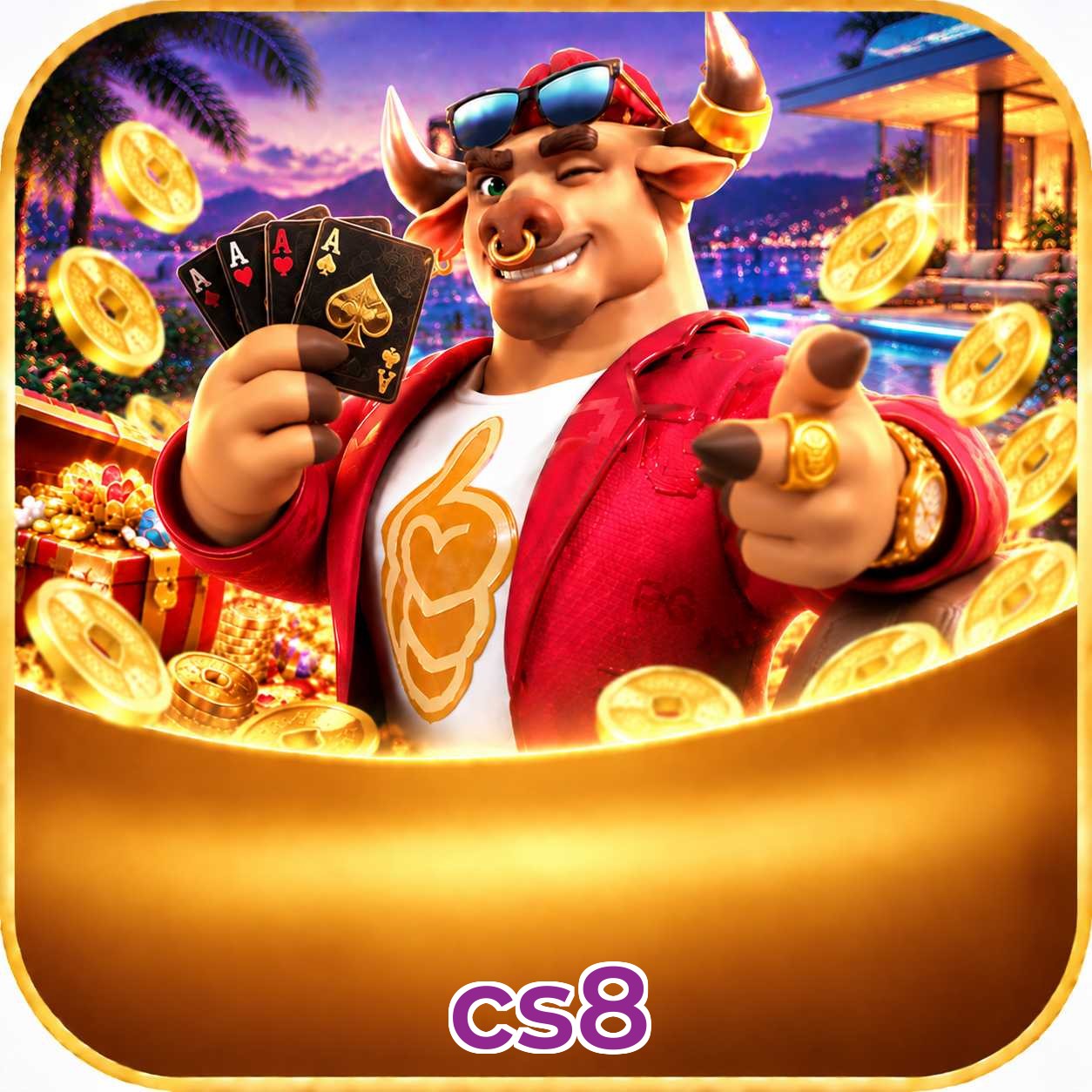 cs8 VIP Program
